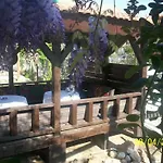 Anna Apart Otel